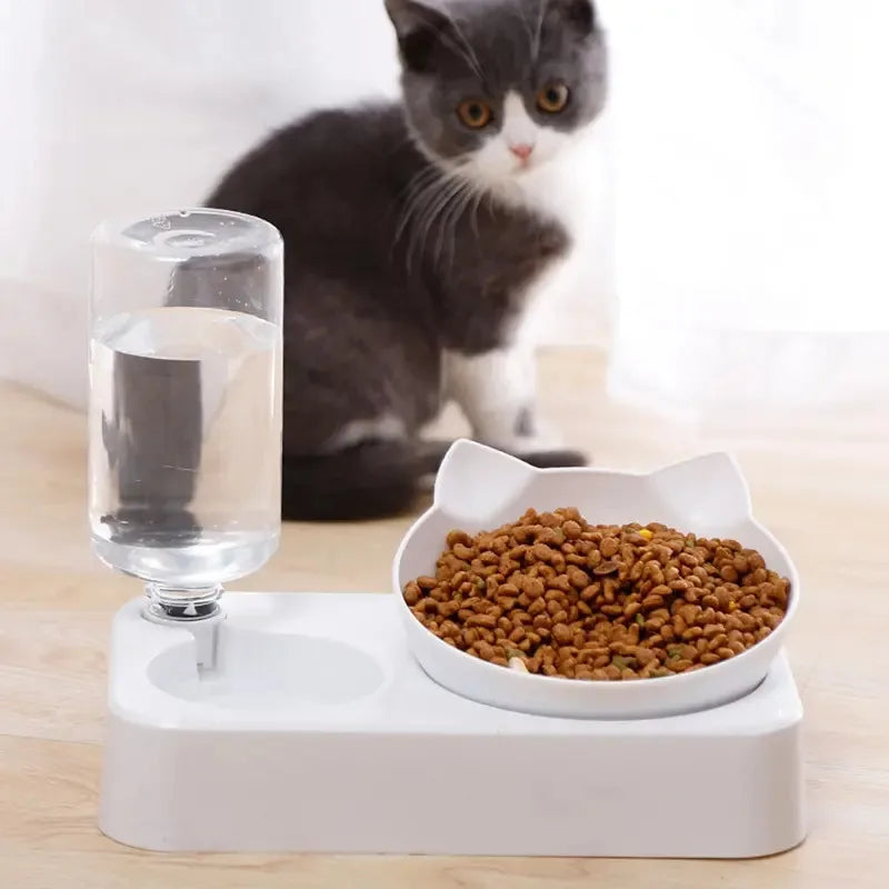 Ergonomic 15° Tilt Pet Bowl