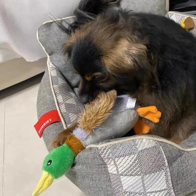 Plush Duck Squeak Toy: Your Dog's New Best Friend.