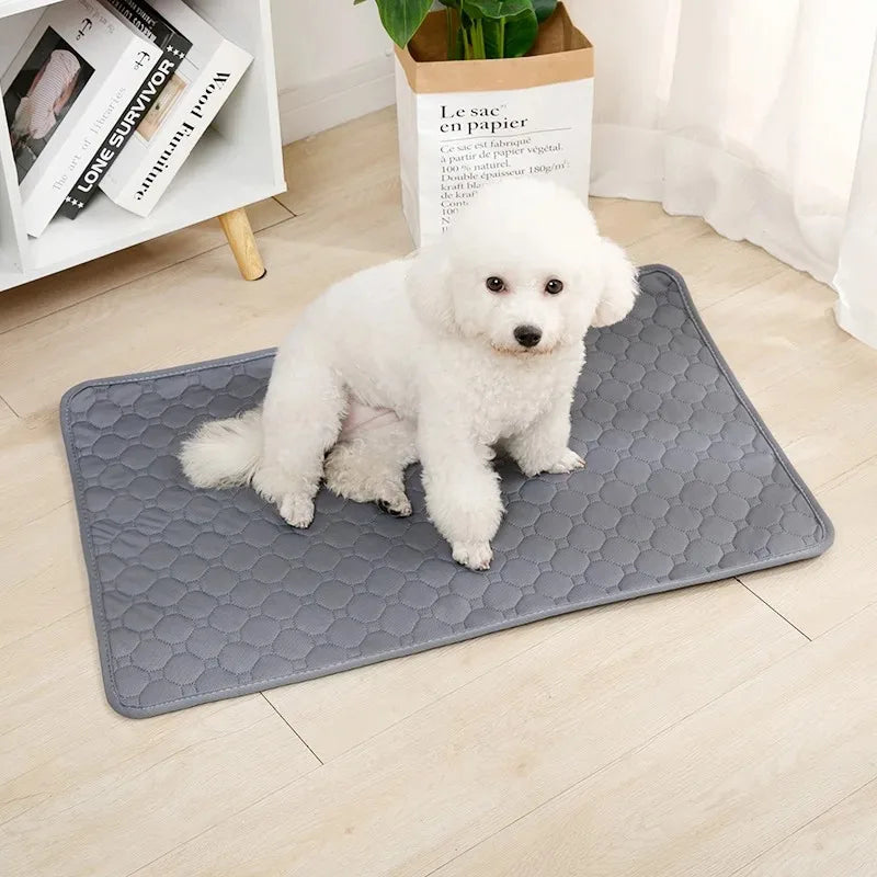 Reusable Washable Dog Pee Pad