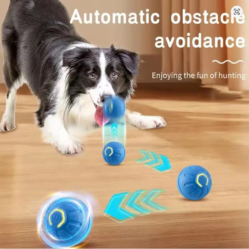 Interactive Pet Toy Ball: The Smart Way to Play.