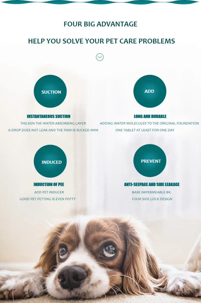 Reusable Washable Dog Pee Pad