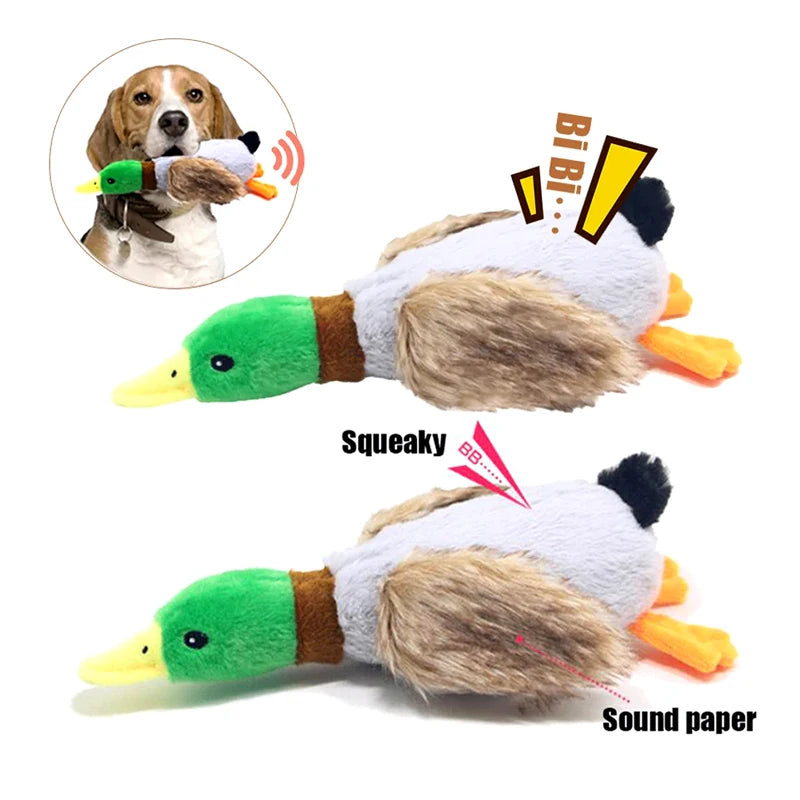 Plush Duck Squeak Toy: Your Dog's New Best Friend.