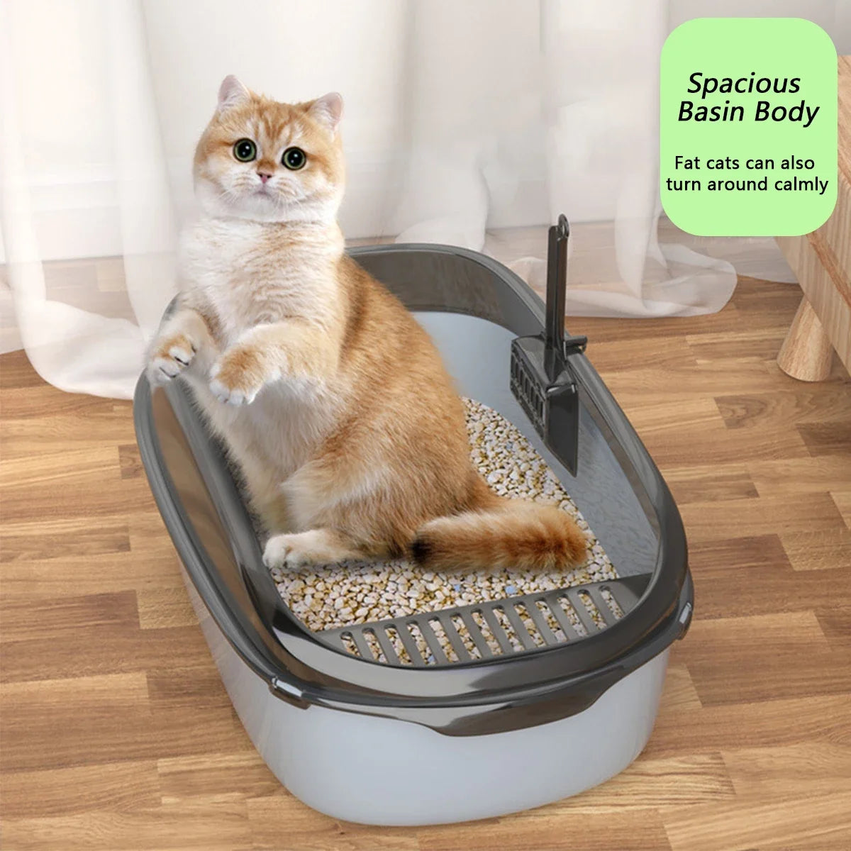 The Purr-fect Litter Box: Clean, Simple, & Splash-Proof