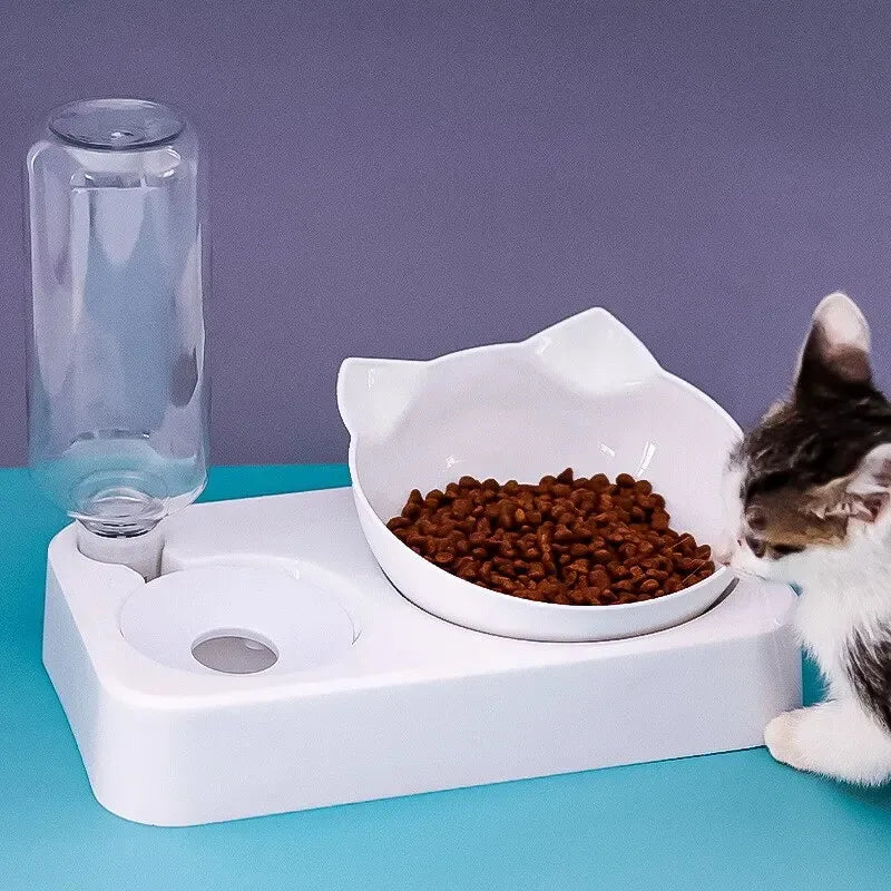 Ergonomic 15° Tilt Pet Bowl