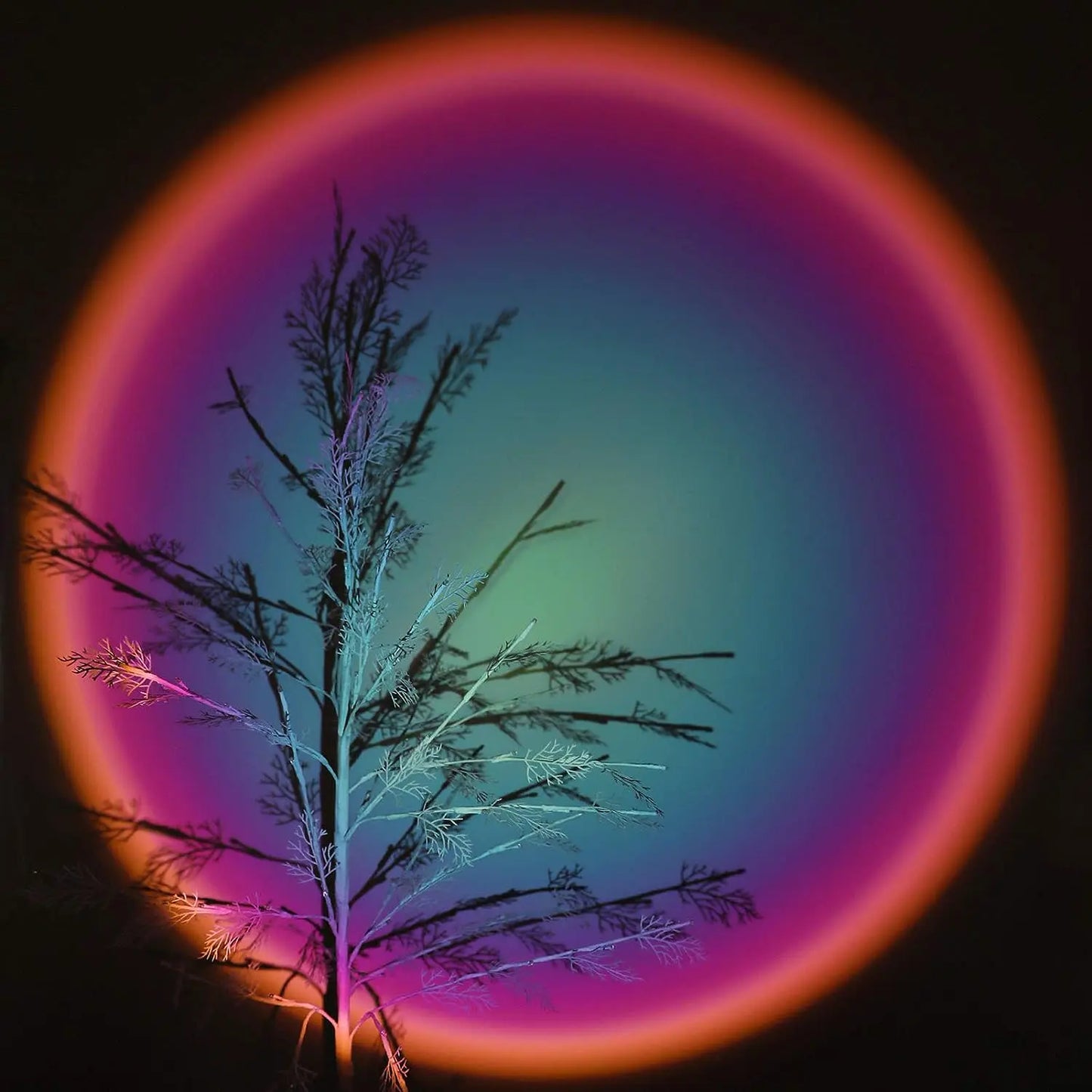 USB Photo Atmosphere Light: Customize Your Space with Light.