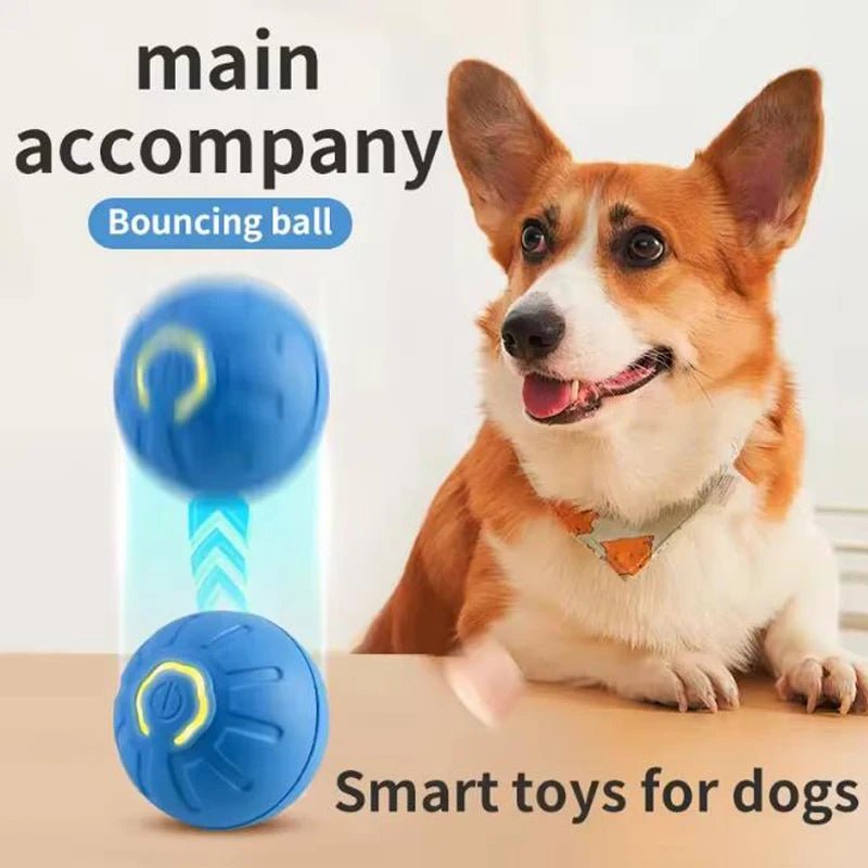 Interactive Pet Toy Ball: The Smart Way to Play.