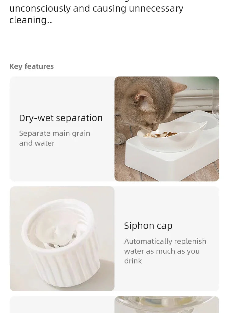 Ergonomic 15° Tilt Pet Bowl