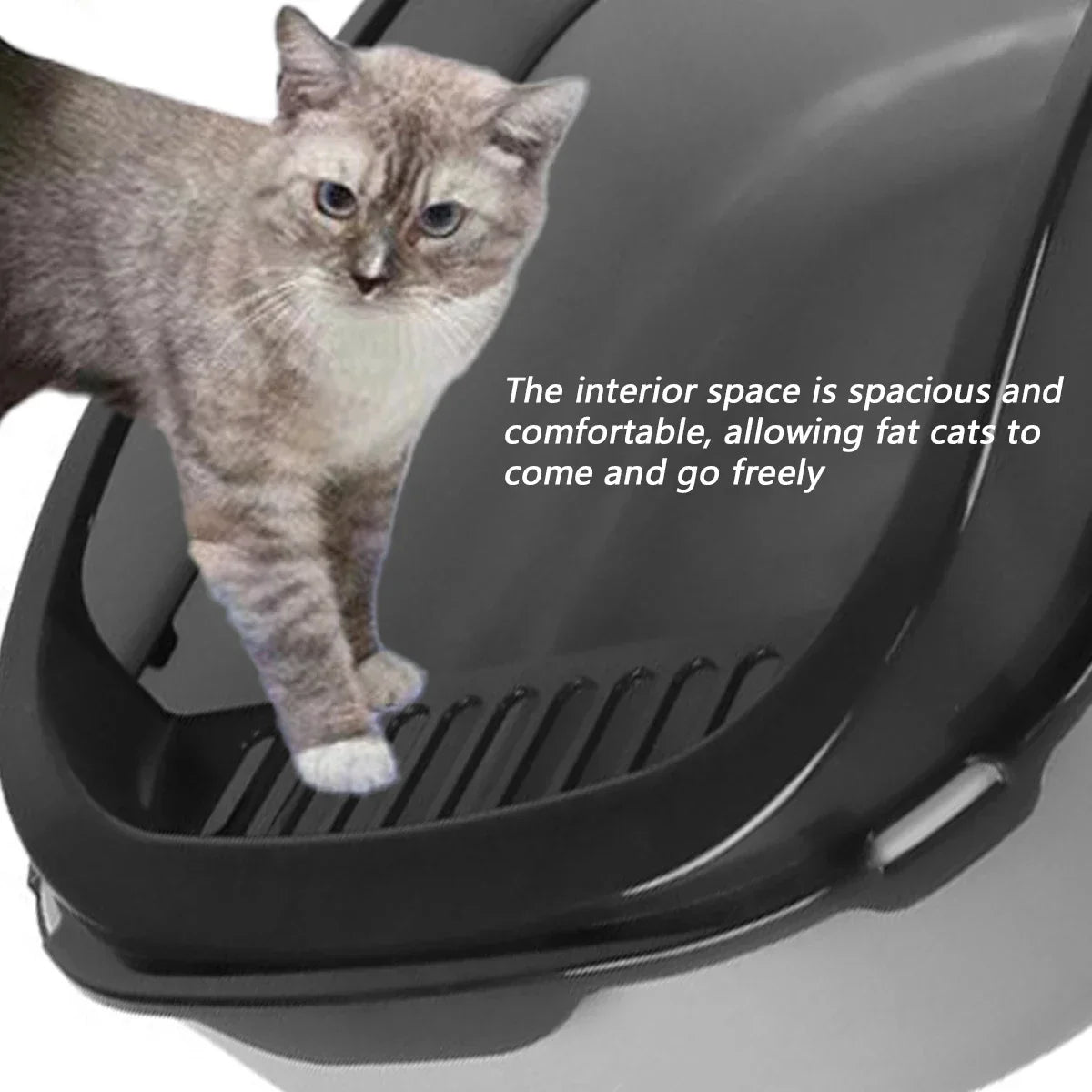 The Purr-fect Litter Box: Clean, Simple, & Splash-Proof
