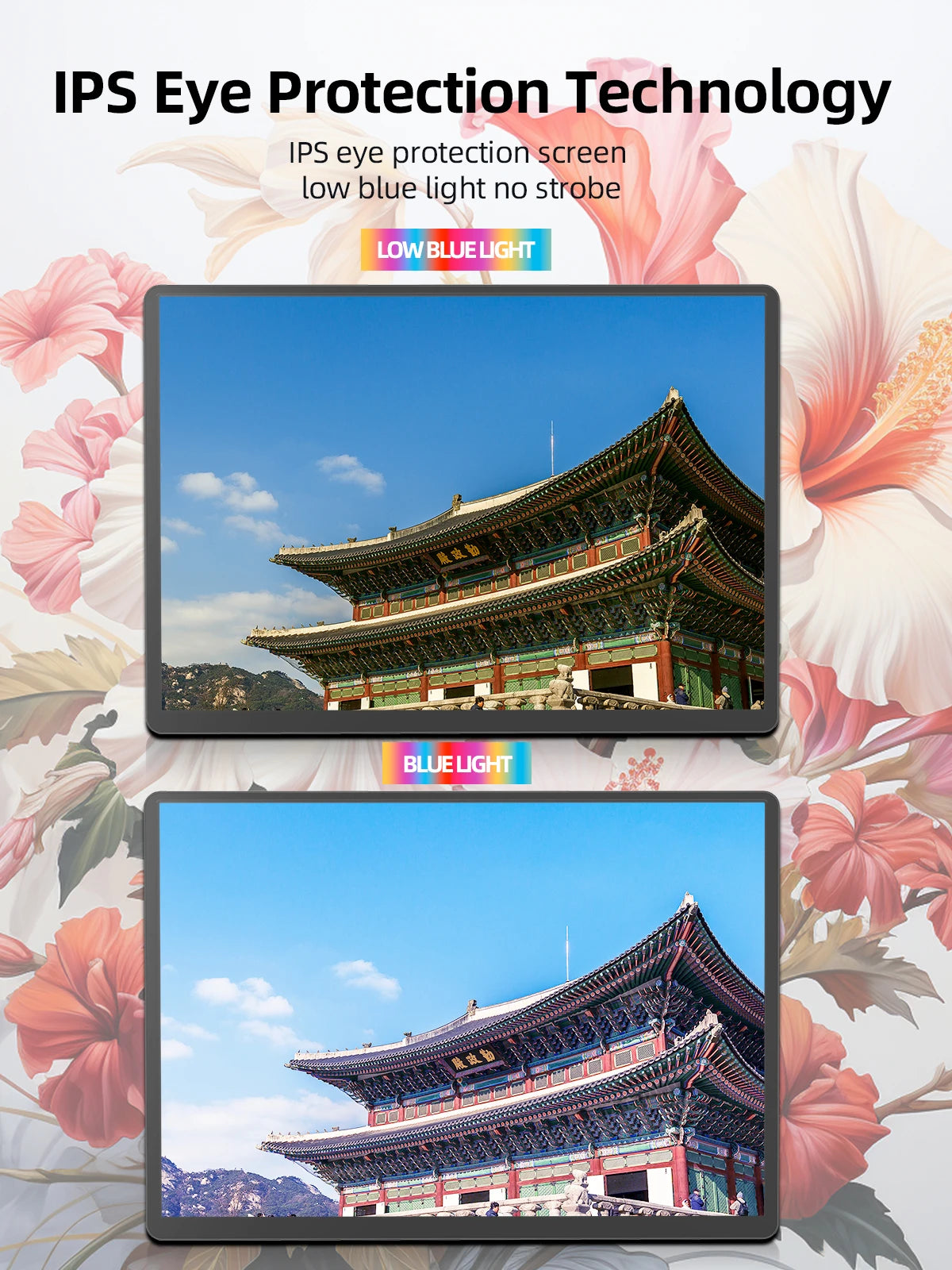 ZSUS 14-Inch Portable Monitor: Your World, Expanded.